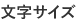 文字サイズ